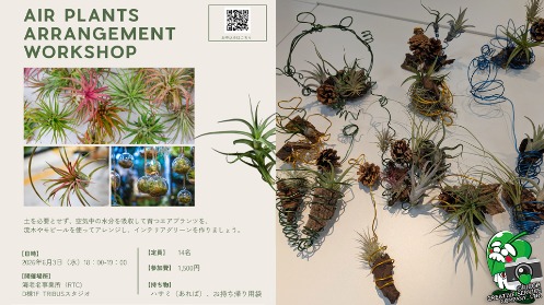 blog_hoken