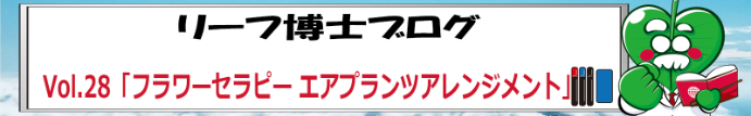blog_hoken