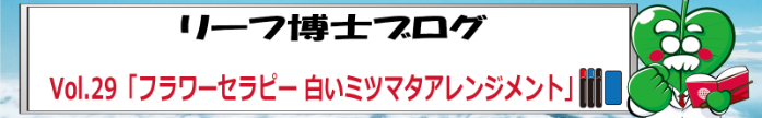 blog_hoken